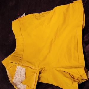 Golden Yellow shorts size 16 loft Ann taylor
